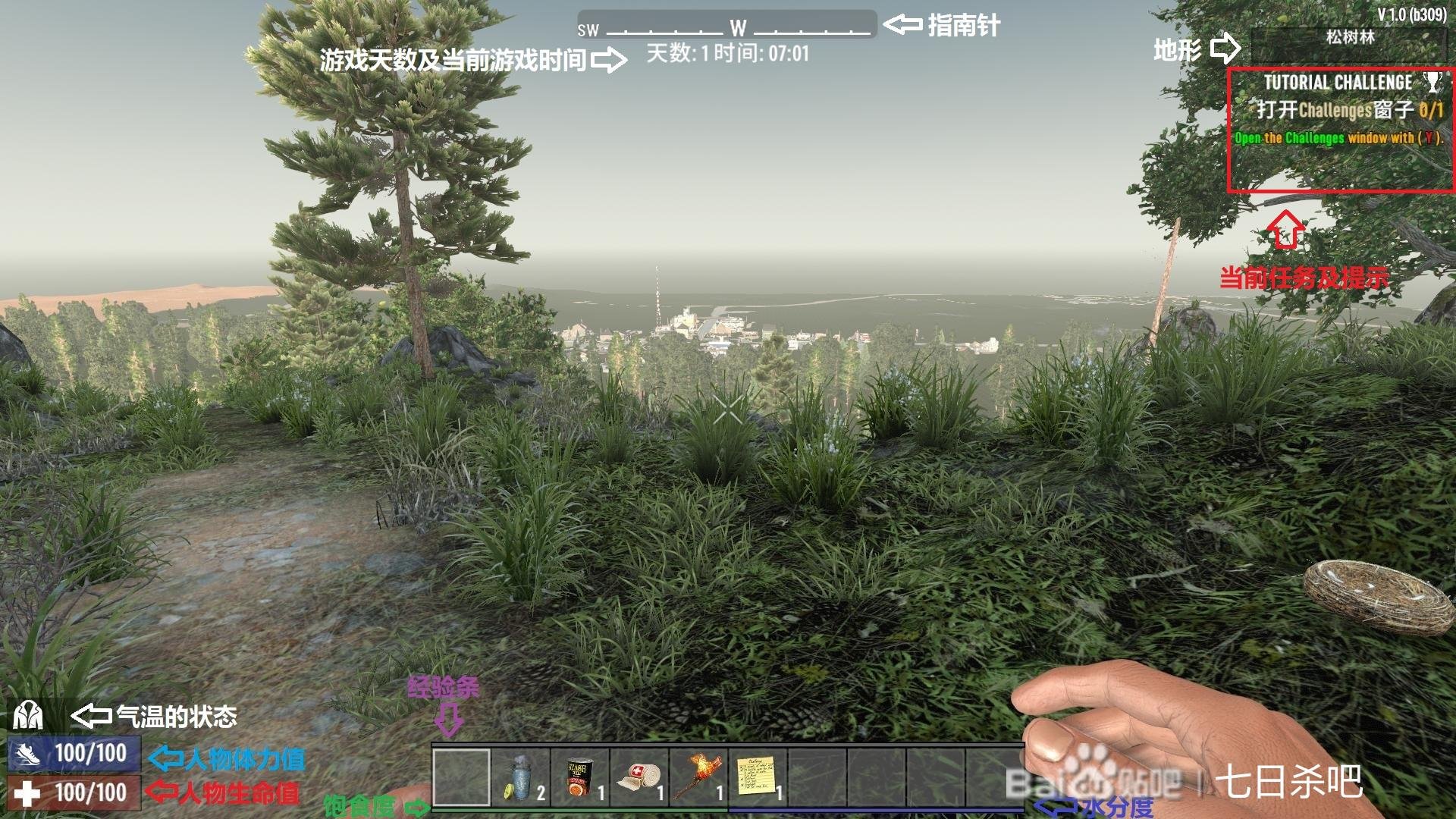 上古卷轴5：天际 完整版 截图8